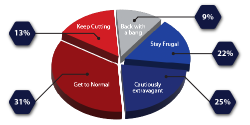 A pie chart depicting newly created consumer segments due to COVID-19 pandemic.