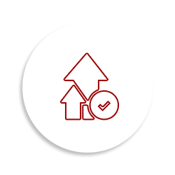 Demand Planning & Category Management