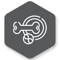 Implement Cross-Merchandising Where Possible